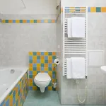 Orea Devet Skal Vysocina Sněžné