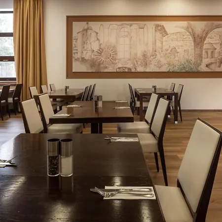 Orea Devet Skal Vysocina 4* Снежне