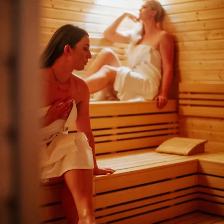 Orea Devet Skal Vysocina Hotel 4*