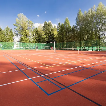 Orea Devet Skal Vysocina 4* Sněžné