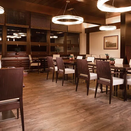 Orea Devet Skal Vysocina Hotel 4*