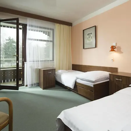 Hotel Orea Devet Skal Vysocina Sněžné