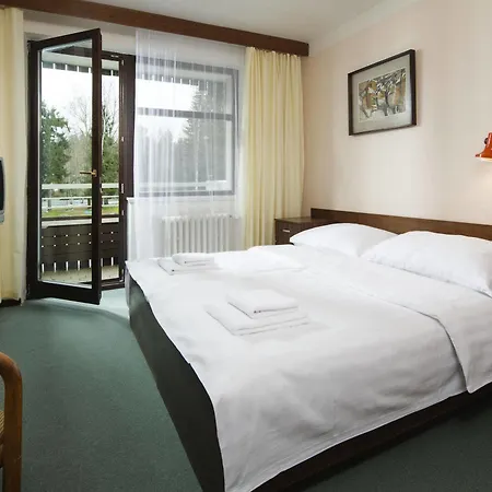 Orea Devet Skal Vysocina 4* Sněžné